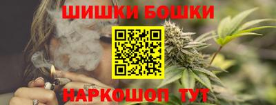 apvp Кингисепп