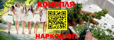 apvp Кингисепп