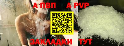 apvp Кингисепп