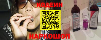 apvp Кингисепп